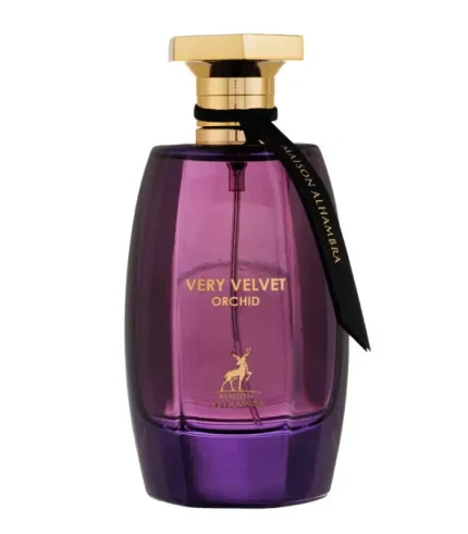 Very Velvet Orchid - Maison Alhambra