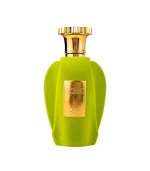 Emir Voux Zingy Paris Corner EDP 100ml Unisex Prix Au Maroc