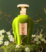 Emir Voux Zingy Paris Corner EDP 100ml Unisex Prix Au Maroc