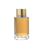 Writer Gold Cyrus Eau de Parfum Pour Homme Prix Au Maroc