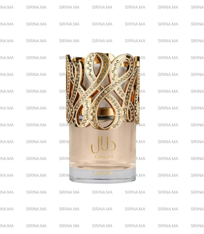 dalal-lattafa Dalal Lattafa Eau de Parfum Pour Femme 100ml Prix Au Maroc