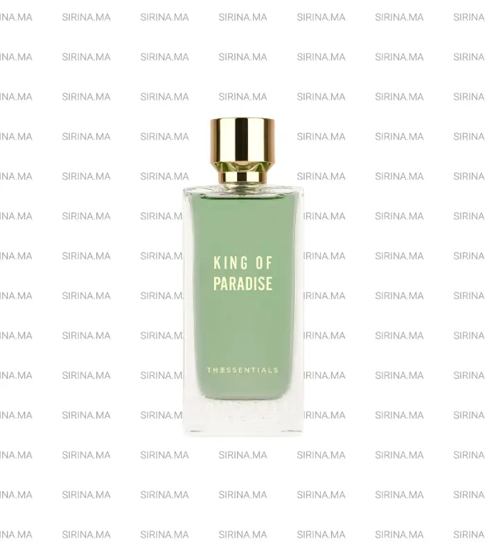 King of Paradise Paris Bleu EDP 100ml Homme Prix Au Maroc
