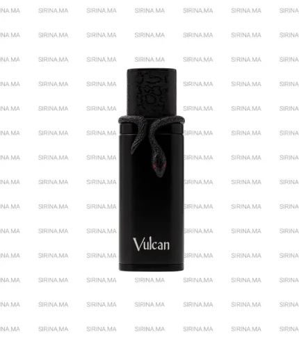 Vulcan Black Friday French Avenue EXP 100ml Prix Au Maroc