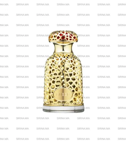 Emeer Lattafa Eau de Parfum Pour Homme 100ml Prix Au Maroc