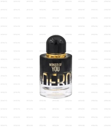 Wonder of You Men Riiffs EDP 100ml Meilleur Prix Au Maroc